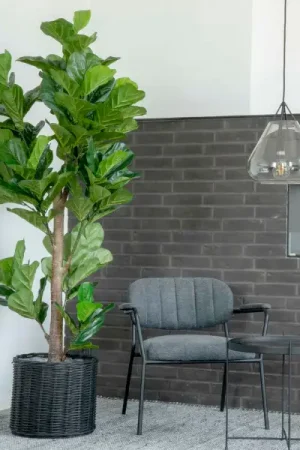190 cm Fiddle Leaf Boom - Kunstmatige groene plant Beste Prijs