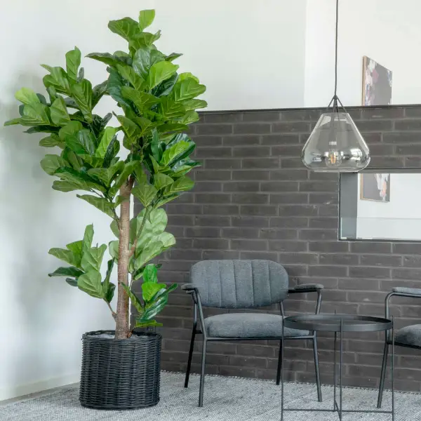 190 cm Fiddle Leaf Boom - Kunstmatige groene plant Beste Prijs
