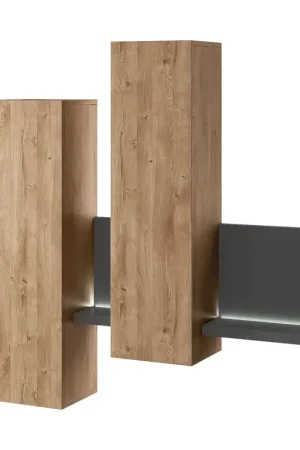 Tijdelijk Beschikbaar Hangende Vitrinekast TABO BT04 Antraciet / Ribbec Eikenhout