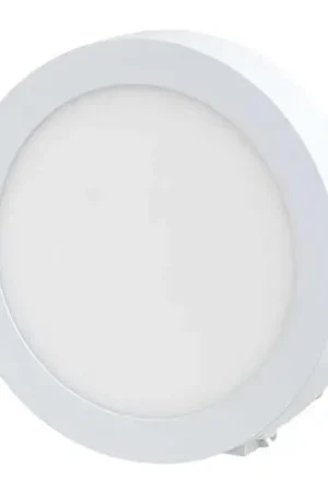 LED Plafondverlichting LED/12W/230V Laatste Kans