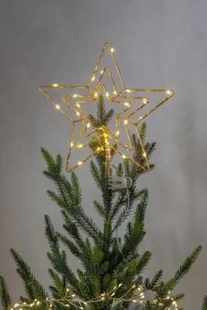Alleen Vandaag Eglo - LED Kerst Decoratie voor Buiten 30xLED/0,06W/3xAA IP44