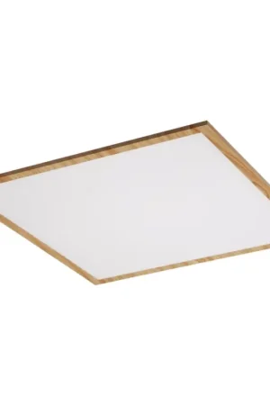 Betaalbaar Rabalux - LED Bevestigd Paneel LED/40W/230V 4000K