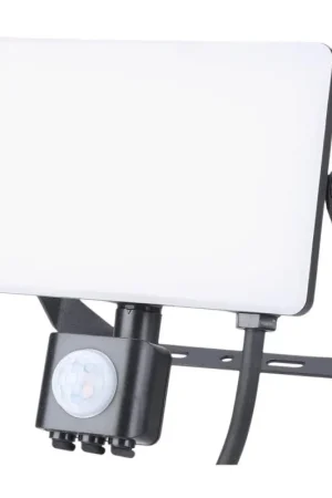 LED Buitenschijnwerper met een sensor LED/30W/230V 5000K IP44 Beperkte Voorraad