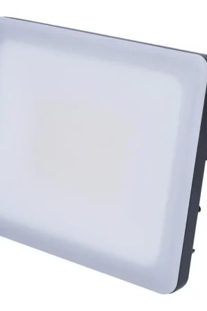 LED Schijnwerper voor buiten LED/30W/230V 4000K IP65 Favoriet