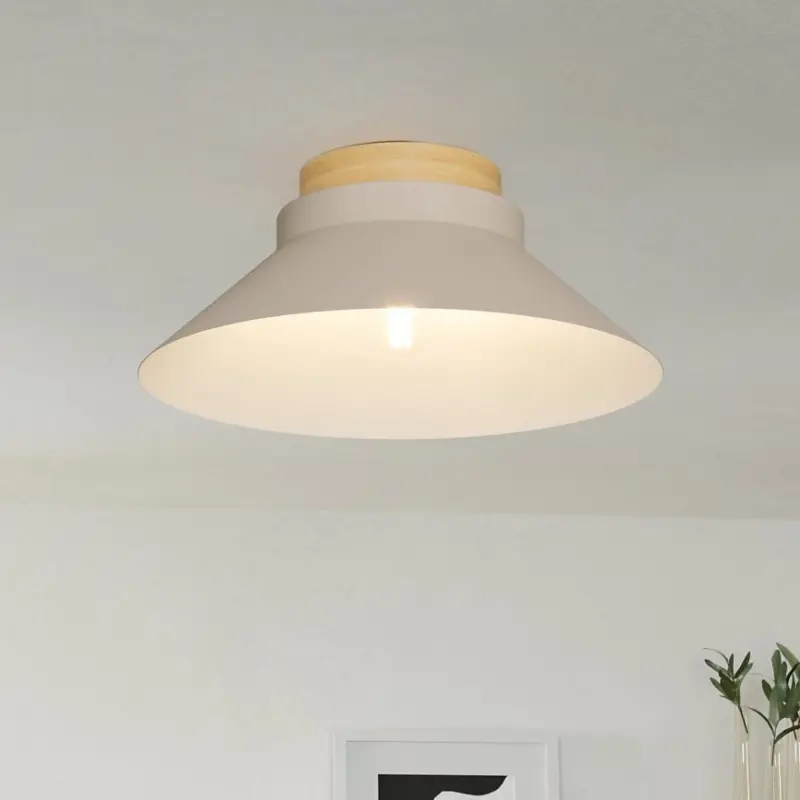 Op = Op Eglo - Plafondlamp 1xE27/40W/230V