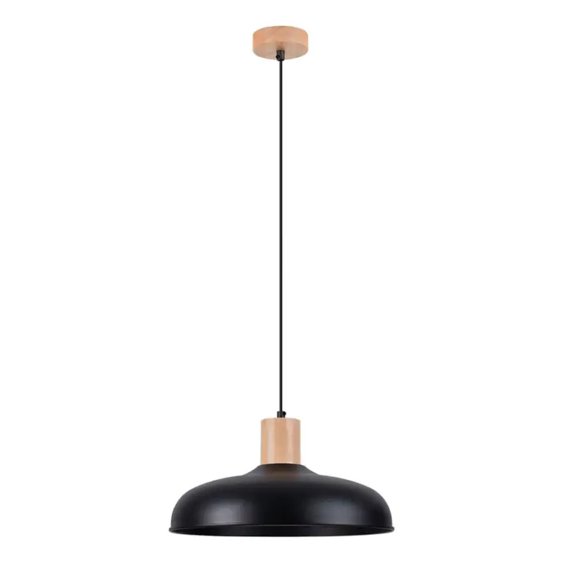 Betrouwbaar Hanglamp aan een koord INDY 1xE27/15W/230V diameter 38 cm zwart