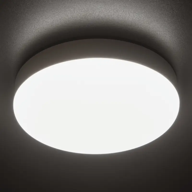 Veilige Betaling LED Werkverlichting plafond IPER LED/19W/230V IK10 IP65 rond wit