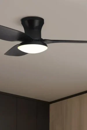Brilagi - LED dimbare plafondventilator LED/30W/230V 3000-6500K zwart + afstandsbediening Rechtstreeks Van De Fabrikant