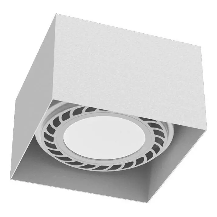 Brosline - Spotlamp 1x GU10/18W/230V wit Gecertificeerd