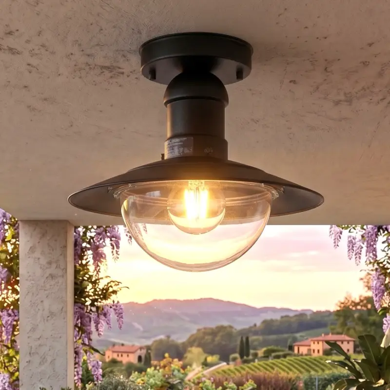Uitverkoop Brilagi - Buitenplafondlamp MOLDE 1xE27/60W IP44 zwart