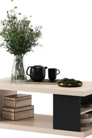 Fabrieksprijs Salontafel met plank en opbergruimte LORA beige/zwart