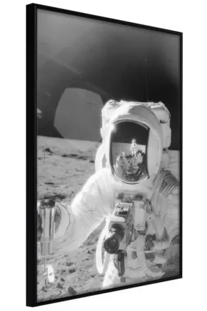 Poster 'Profession of Astronaut' Bestseller