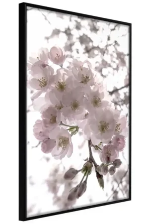 Nieuw Poster 'Spring Visit'