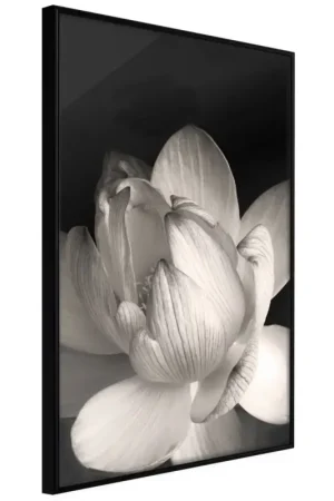 Op = Op Poster 'Delicacy of a Flower'