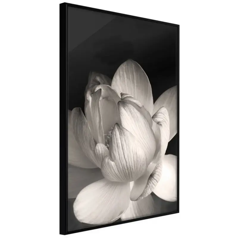 Op = Op Poster 'Delicacy of a Flower'