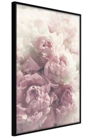 Goedkoop Poster 'Delicate Peonies'