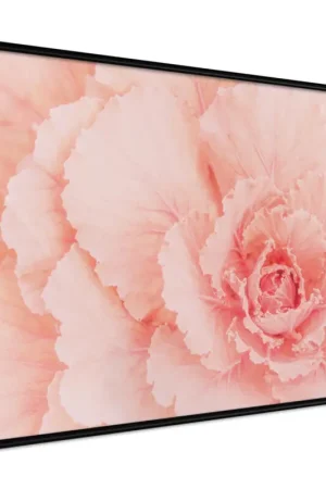 Poster 'Delicate Petals' Dagaanbieding