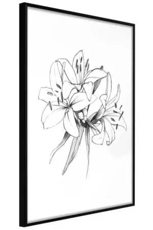 Goedkoop Poster 'Drawn Flowers'