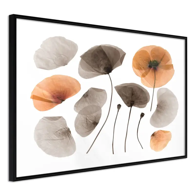 Veilige Betaling Poster 'Dried Poppies'