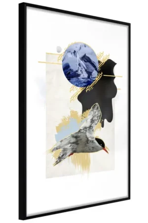 Dagaanbieding Poster 'Antarctic Tern'