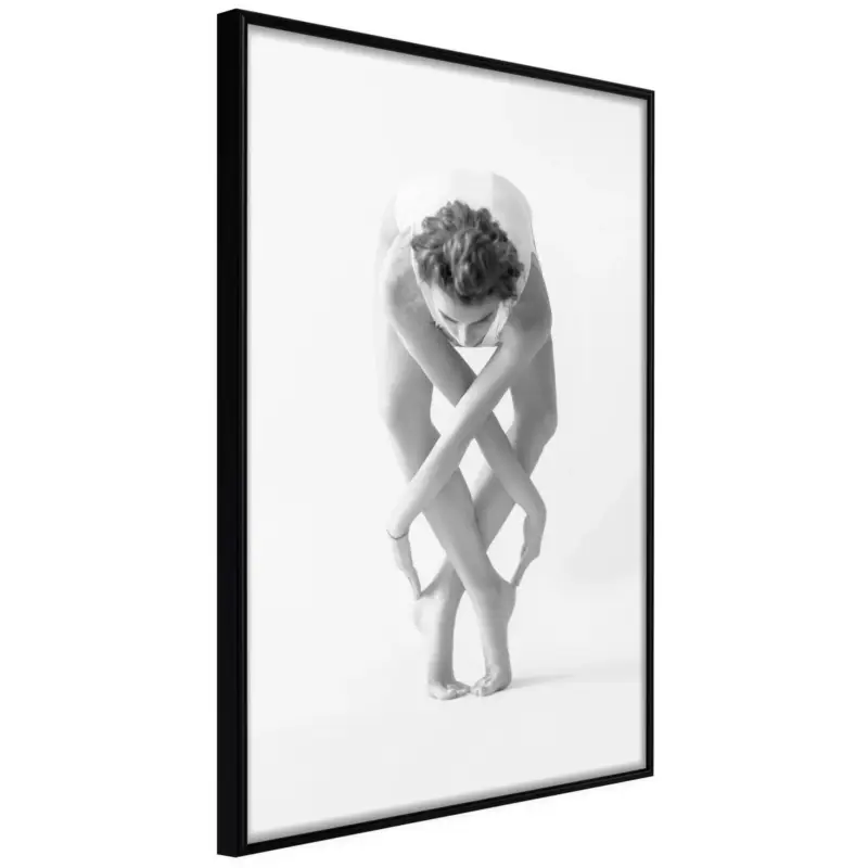 Poster 'Ballet' Meest Verkocht