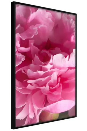 Alleen Vandaag Poster 'Beautiful Peonies'