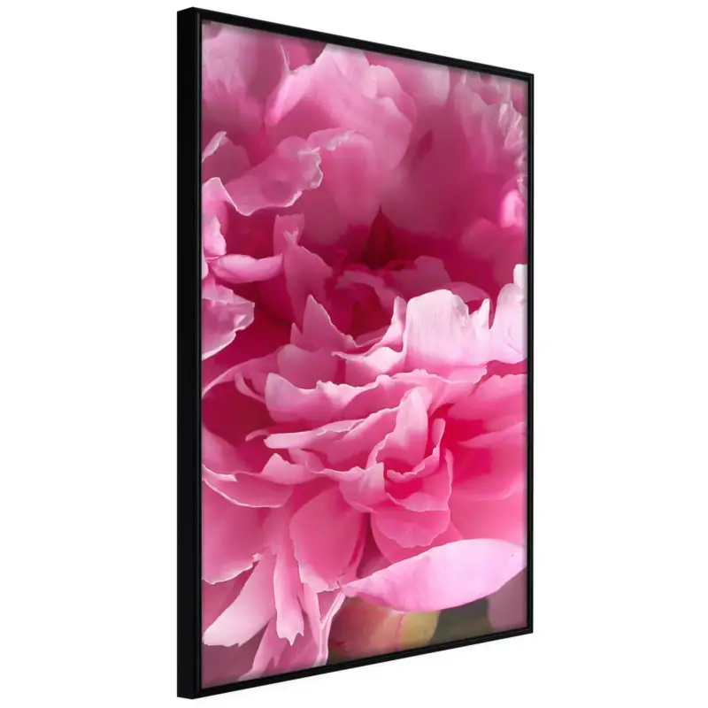 Alleen Vandaag Poster 'Beautiful Peonies'