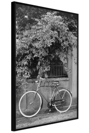 Goedkoop Poster 'Bicycle with White Tires'