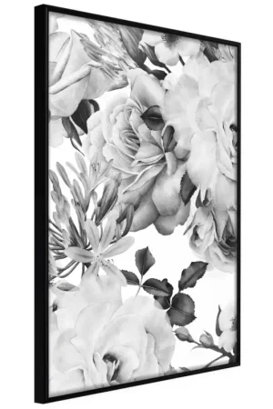 Koop Vandaag Poster 'Black and White Nature'