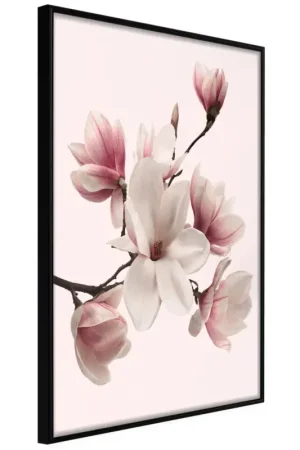 Beperkte Voorraad Poster 'Blooming Magnolias I'