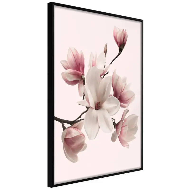 Beperkte Voorraad Poster 'Blooming Magnolias I'