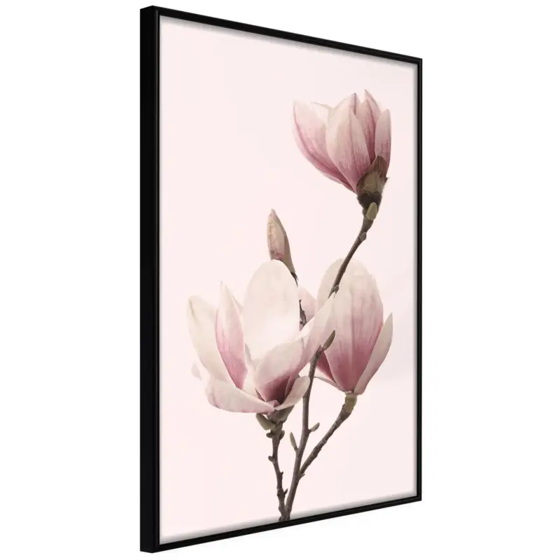 Poster 'Blooming Magnolias III' Bestseller