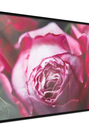 Poster 'Blooming Rosae' Direct Verzonden