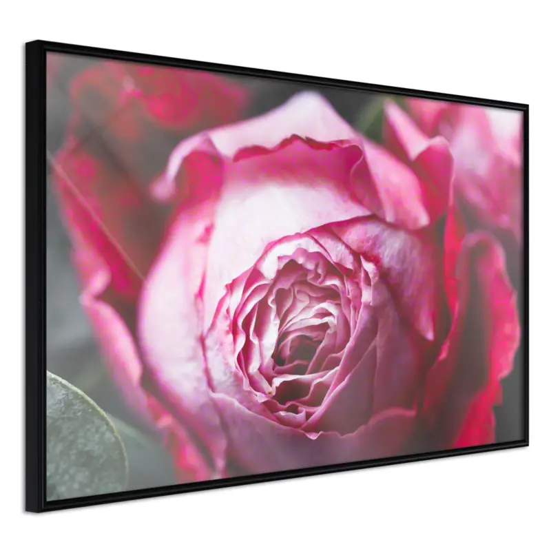 Poster 'Blooming Rosae' Direct Verzonden