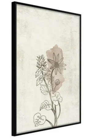 Betaalbaar Poster 'Life of Plants'
