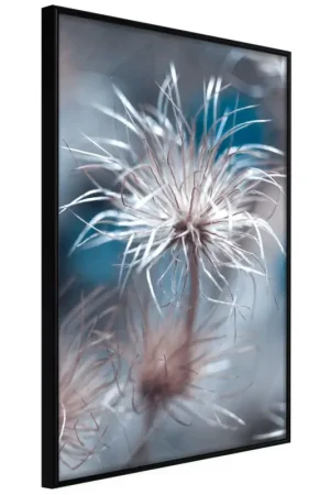 Poster 'Like a Dandelion' Koop Vandaag