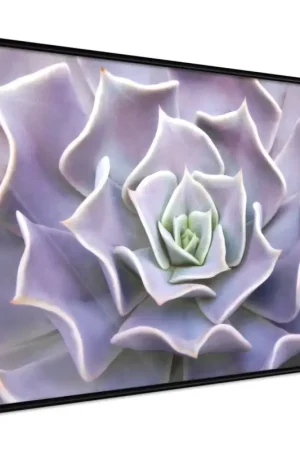 Poster 'Like a Flower' Populair