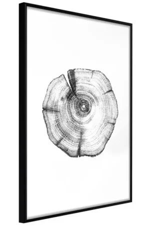 Poster 'Tree Rings' Gereduceerde Prijs