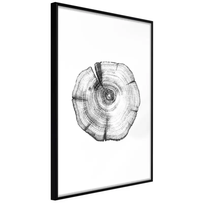 Poster 'Tree Rings' Gereduceerde Prijs