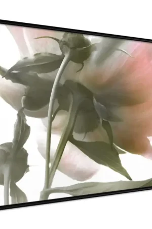 Koop Online Poster 'Under the Flower'