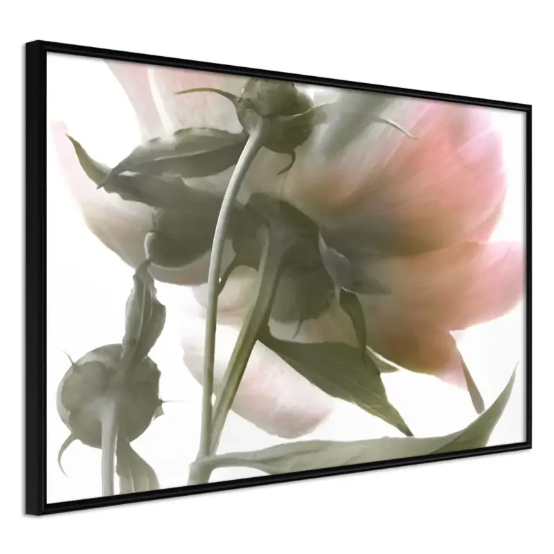 Koop Online Poster 'Under the Flower'