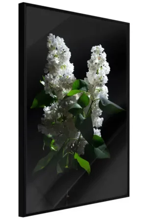 Poster 'White Lilac' Veilige Betaling
