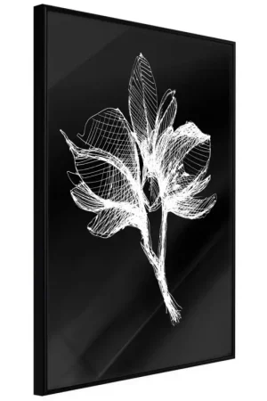 Poster 'White Plant' Nieuw