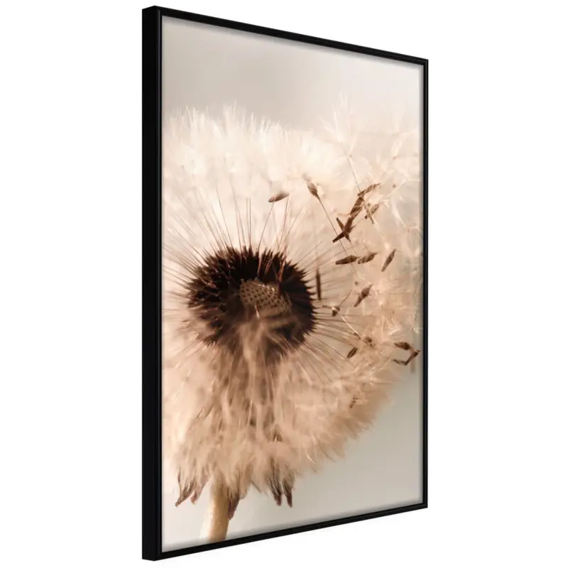 Poster 'Piece of the Summer' Uitverkoop