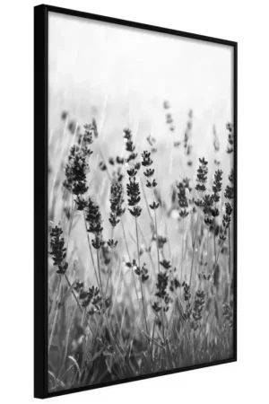 Meest Verkocht Poster 'Shadow of Meadow'