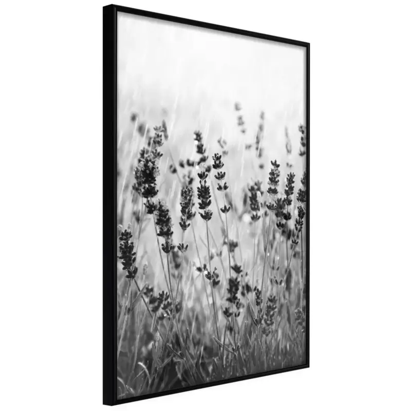Meest Verkocht Poster 'Shadow of Meadow'