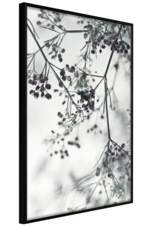 Poster 'Sprinkled with Flowers' Koop Vandaag