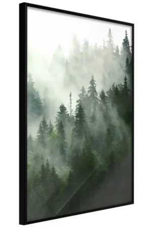 Poster 'Steaming Forest' Gecertificeerd