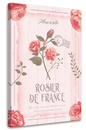 Canvas Poster 'Rosier de France' Speciale Aanbieding