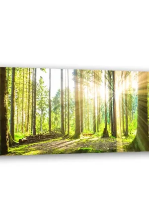 Beste Prijs Canvas Poster 'Green Forest Sunlight 3'
